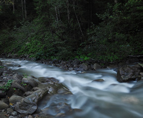 River at the carpatian mountains and green forest