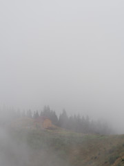 Fototapeta premium Carpatian mountains fog and mist at the pine forest