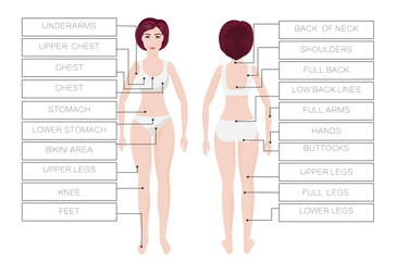 Laser hair removal female zones. Area body woman. IPL procedure