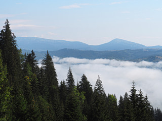Carpatian mountains view from the top