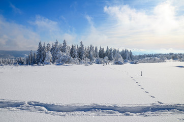 Traumhafte Schneelandschaft im Schwarzwald/Schwarzwaldhochstrasse