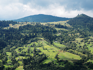 Naklejka premium Carpatian mountains village at green forest
