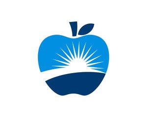 dental apple consulting