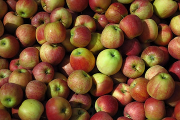 Äpfel
