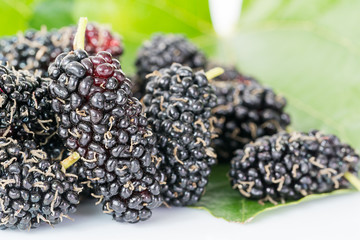 Close up mulberry fruit with green leaf