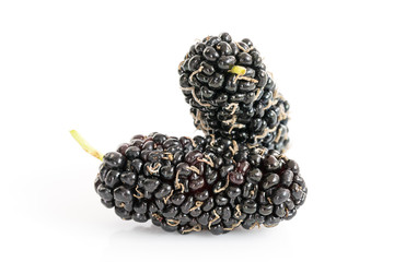 Mulberry isolated on the white