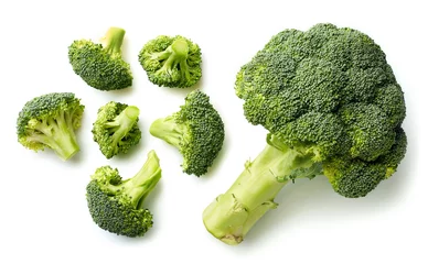 Poster Verse broccoli op witte achtergrond © baibaz