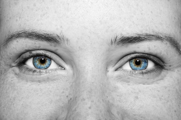 A beautiful insightful look girl's eyes. Close up shot