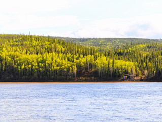 Yukon River Shoreline