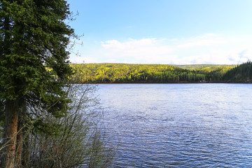 Shore at the Yukon River