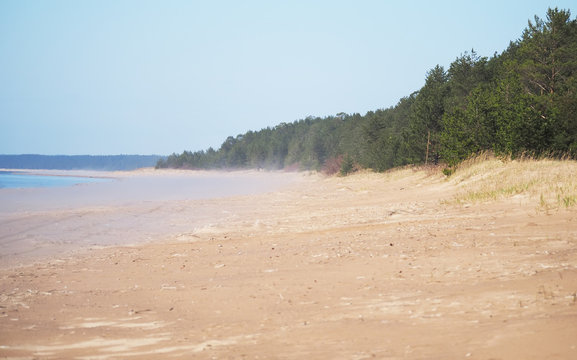 sandy beach in summer