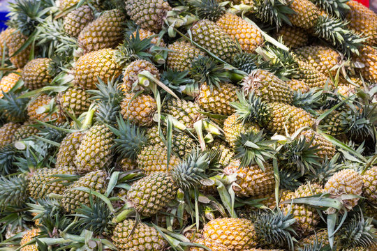 Closeup Lots of pineapple in the market before sale Bangkok of Thailand