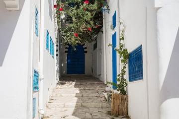 Fototapeta na wymiar White houses with blue windows on the streets of an ancient eastern city Tunisia. Sidi Bou Said.