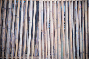 Bamboo style old fence