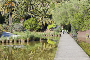 Botanical garden in Montjuic park, Barcelona.