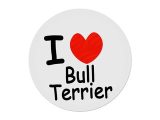 I love Bull Terrier 	