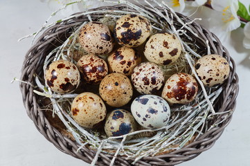 Quail eggs in a basket  - Easter composition.Easter Tradition - Selective focus
