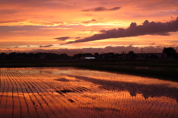 夕焼け