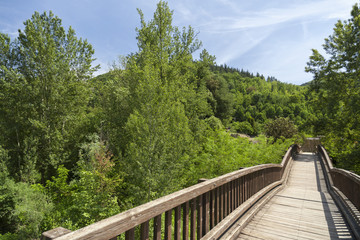 Fototapeta na wymiar Landscape with wooden bridge in Garrotxa region,Castellfollit de la Roca,Catalonia,Spain.