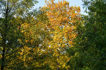 Kosutnjak Park, Belgrade, Serbia