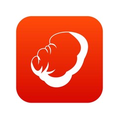 Spleen icon digital red