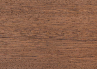 exotic wood texture for background