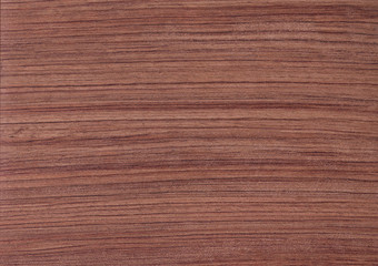 pink tree background texture