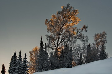 Russia. The South Of Western Siberia. Frosty dawn in Mountain Shoria.