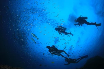 Fototapeten Scuba divers on underwater reef with fish © Richard Carey