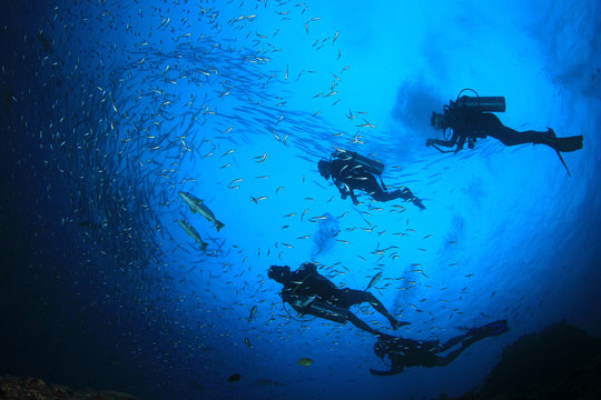 Scuba divers on underwater reef with fish