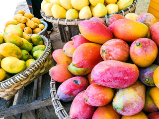 Colorful and tasty fresh mangoes sell along streets in Myanmar.