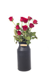 Naklejka premium Red roses isolated on white background