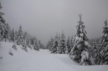 Cloudy winter landscape