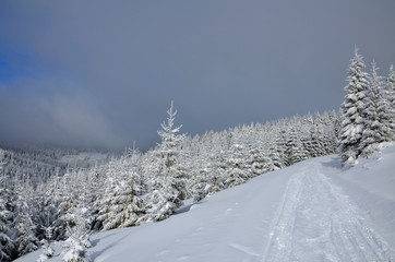 Cloudy winter landscape