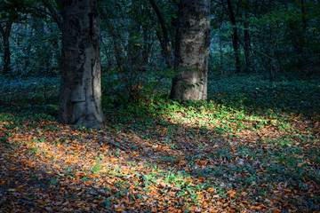 Kosutnjak Park, Belgrade, Serbia