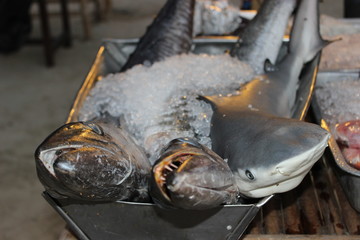 Fische warten auf den Grill