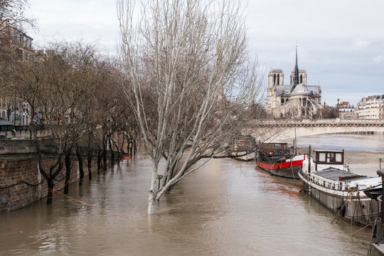 inondation crue seine inonder eau montée paris déborder environnement catastrophe naturelle
