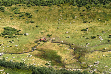 Mountain Vally with small river and hourses