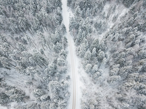 Country road through the forest. Aerial view winter landscape