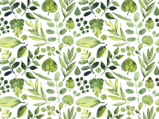 Watercolor seamless pattern. Green leaves of different plants on a white background.