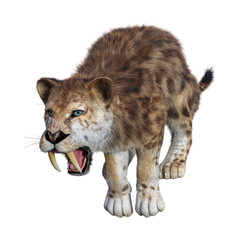 3D Rendering Sabertooth Tiger on White