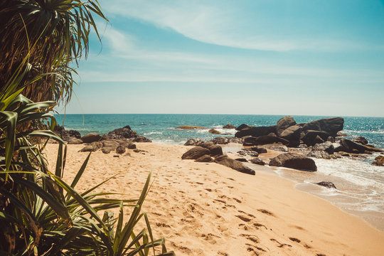 Indian Ocean Coast with stones and pandanus trees. Tropical vacation, holiday background. Deserted with footprints beach. Paradise idyllic landscape. Travel concept. Sri Lanka eco tourism. Copy space