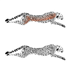 Cheetah logo