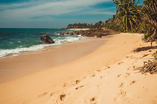 Indian Ocean Coast with stones and pandanus trees. Tropical vacation, holiday background. Deserted sandy footprints beach. Paradise idyllic landscape. Travel concept. Sri Lanka eco tourism. Copy space