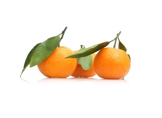 Mandarins with fresh green sprig isolated on white background