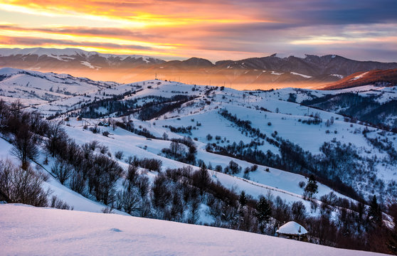snowy mountainous countryside at sunrise. gorgeous landscape with snow covered hills. beautiful scenery in Carpathian mountains