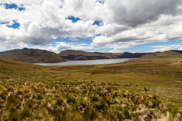 Fototapeta premium Páramos of the Antisana Reserve with the La Mica lagoon and the Cotopaxi