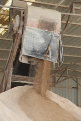 asphalt, asphalt, road construction, sand, gravel, sieving, screen,