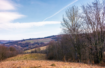 leafless forest on a meadow with weathered grass. lovely Carpathian countryside in springtime