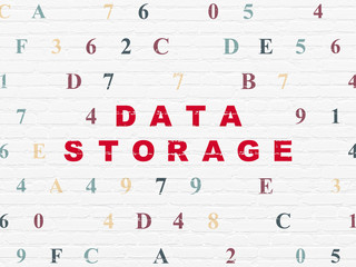 Information concept: Painted red text Data Storage on White Brick wall background with Hexadecimal Code